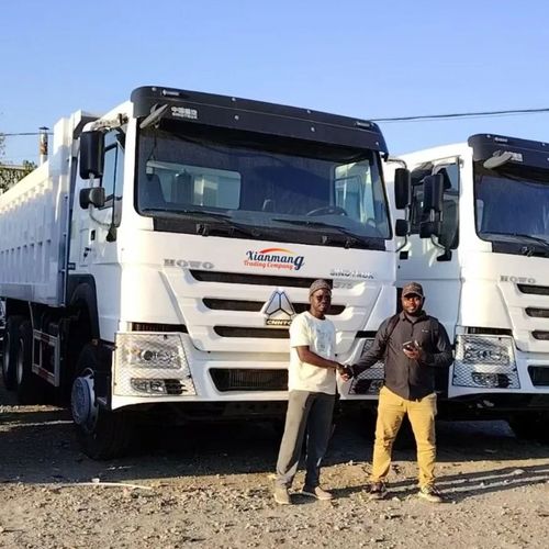 Due amici del Congo hanno visitato il nostro parcheggio e hanno deciso di acquistare due camion bianchi HOWO 371.