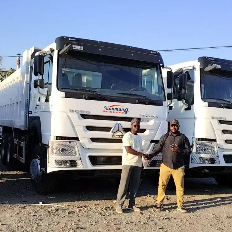 Latest company Cases about Due amici del Congo hanno visitato il nostro parcheggio e hanno deciso di acquistare due camion bianchi HOWO 371.
